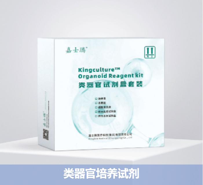 产业共同体启新篇之二：保兴医药健康产业园走进重庆嘉士腾医药！