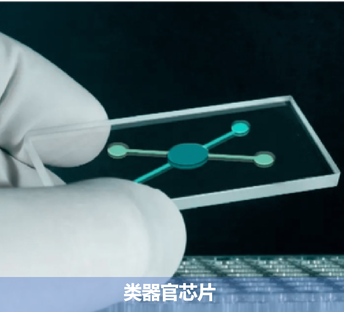 产业共同体启新篇之二：保兴医药健康产业园走进重庆嘉士腾医药！